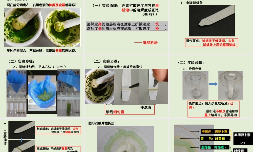 光合色素与光能量的捕获