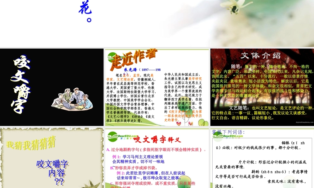 高中语文 第三单元第九课咬文嚼字课件 新人教版必修5 课件