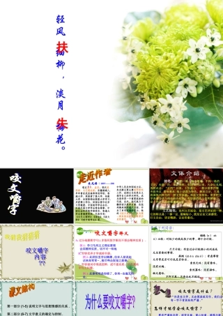 高中语文 第三单元第九课咬文嚼字课件 新人教版必修5 课件