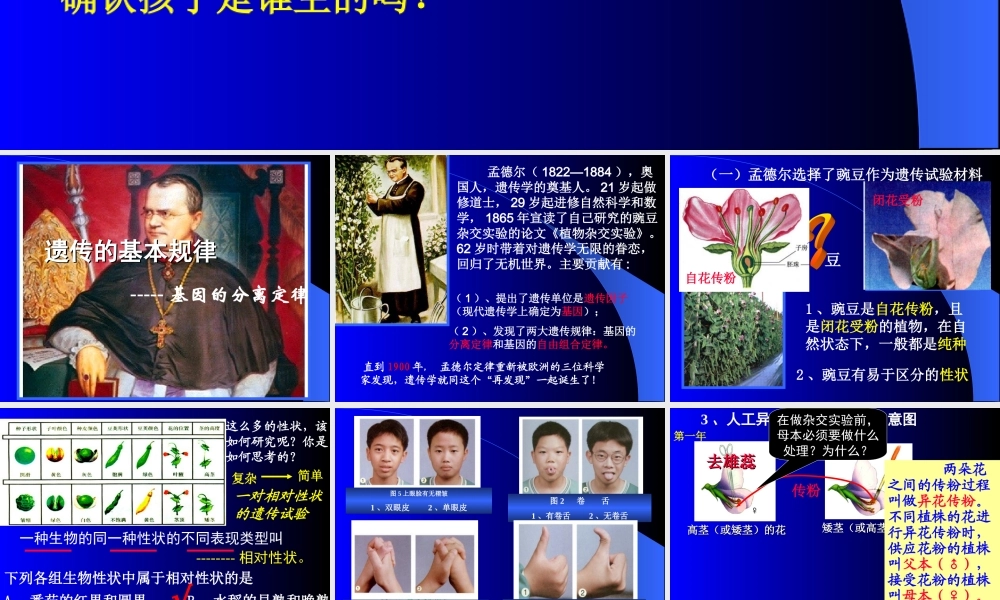 孟德尔的豌豆杂交实验(一)第一课时