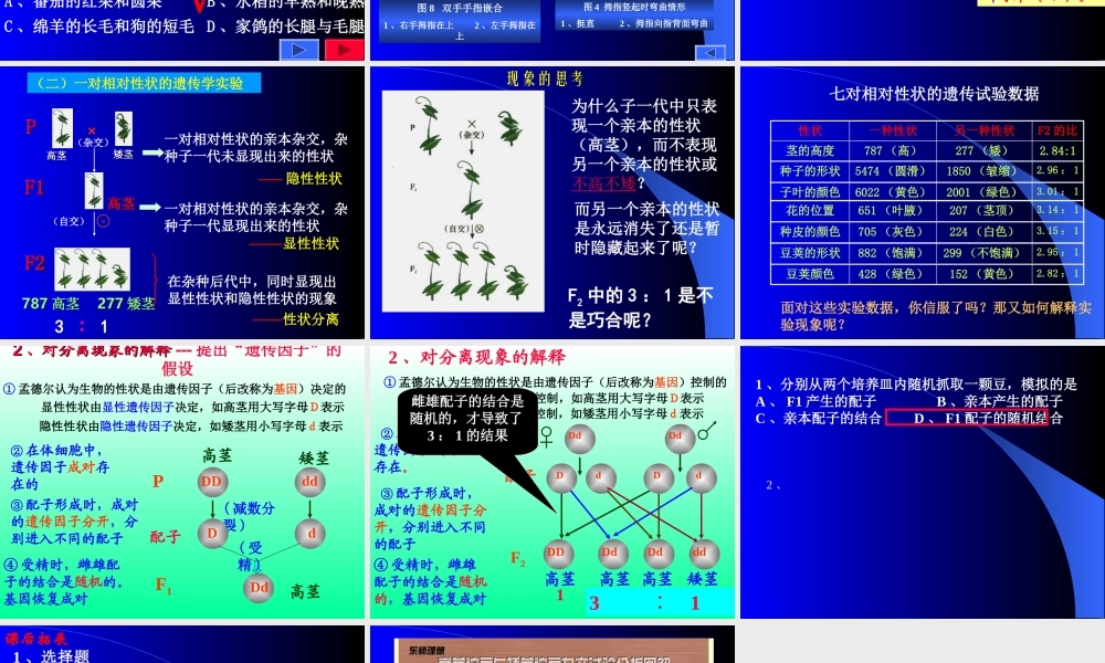 孟德尔的豌豆杂交实验(一)第一课时