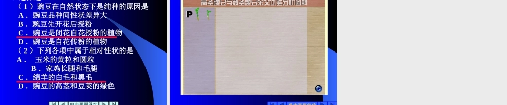 孟德尔的豌豆杂交实验(一)第一课时