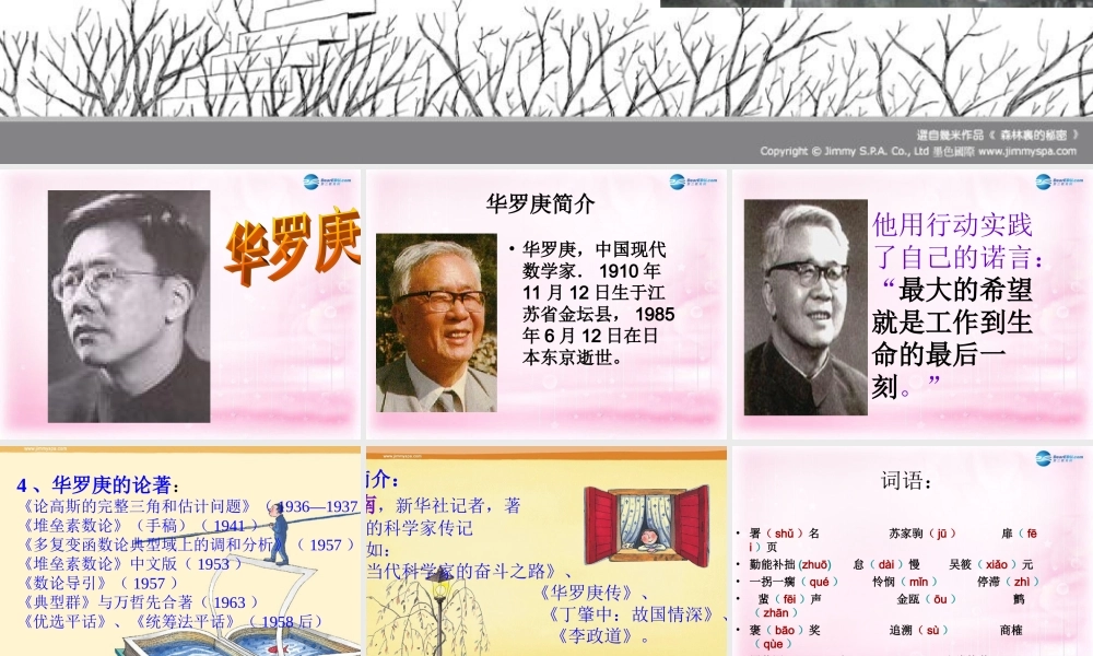 高中语文(华罗庚)课件5 粤教版必修1 课件