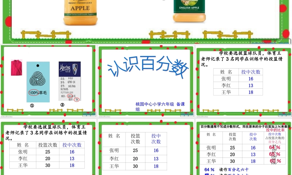百分数的意义(1)