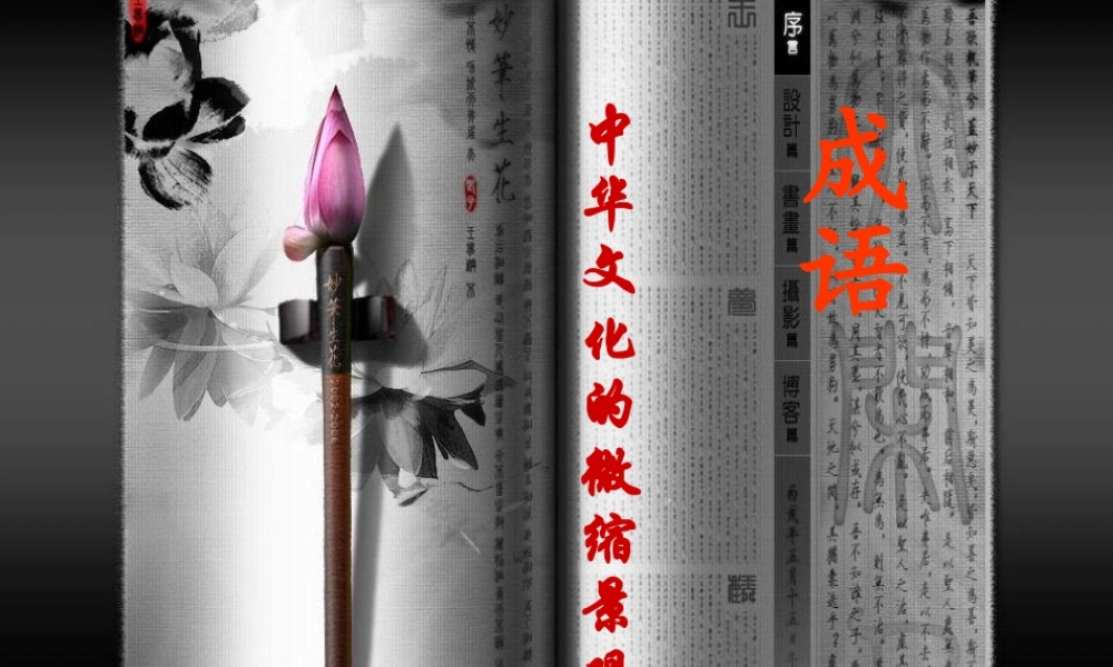 高考语文 成语-中华文化的微缩景观复习课件 新人教版 课件