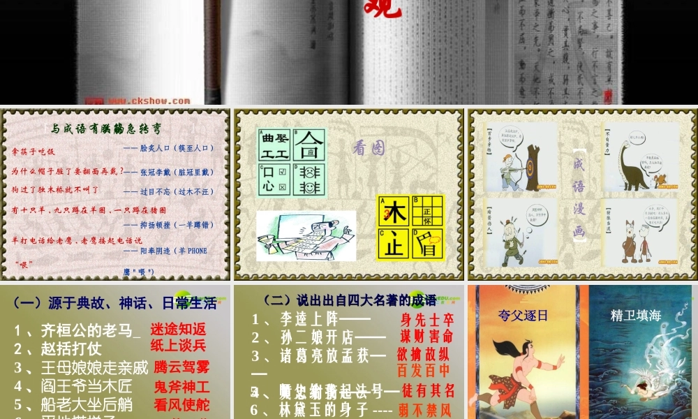 高考语文 成语-中华文化的微缩景观复习课件 新人教版 课件