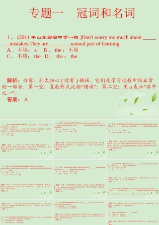 陕西省高三英语 单项填空复习 专题1 冠词和名词课件