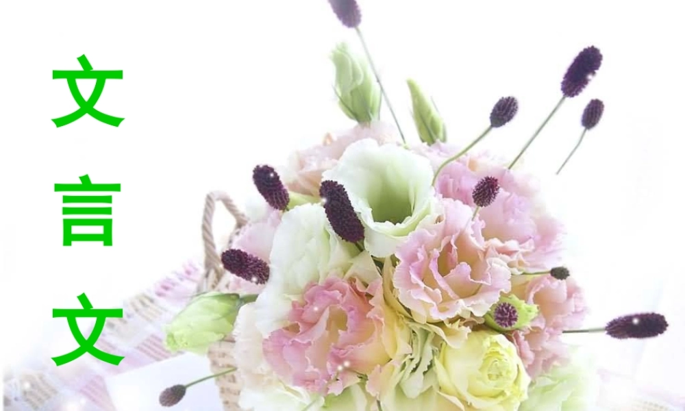 高中语文 文言文实词虚词句式课件