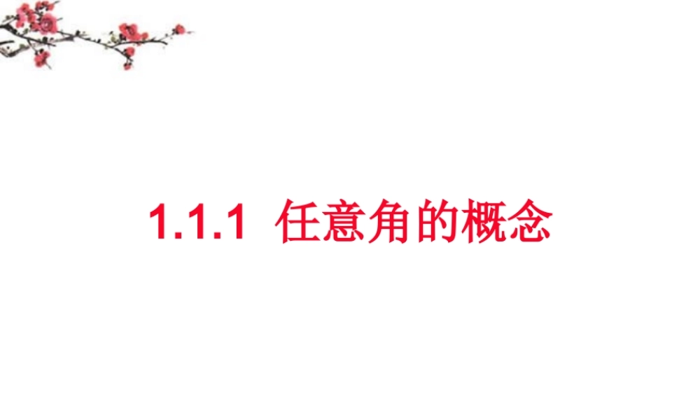 福建省福鼎市高二数学(任意角的概念)课件