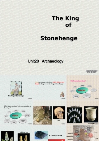 浙江省高二英语Unithe king of stonehenge 新课标 人教版 课件