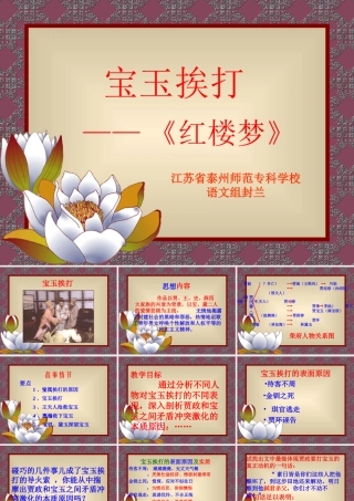 高中语文 (宝玉挨打)课件旧人教版 课件
