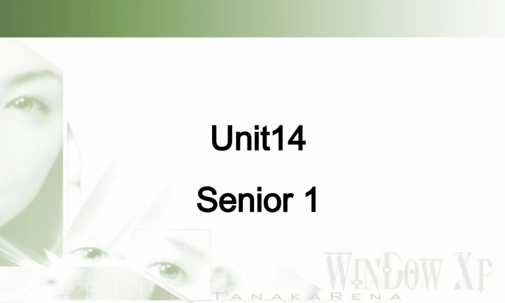 高三英语第一轮复习高一Unit14课件 新课标 人教版 课件