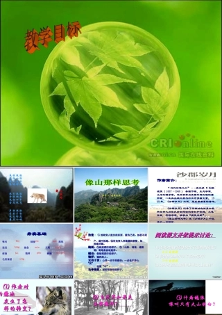 高中语文像山那样思考课件 苏教版 必修2 课件