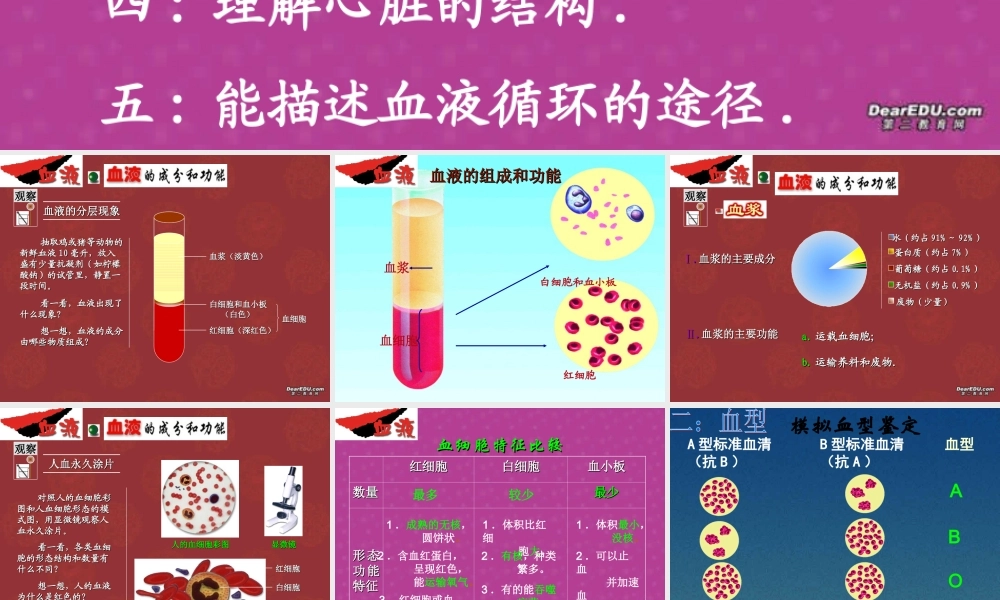 血液循环复习 初三生物复习 血液循环的复习课件(ppt,flash,视频文件)苏教版