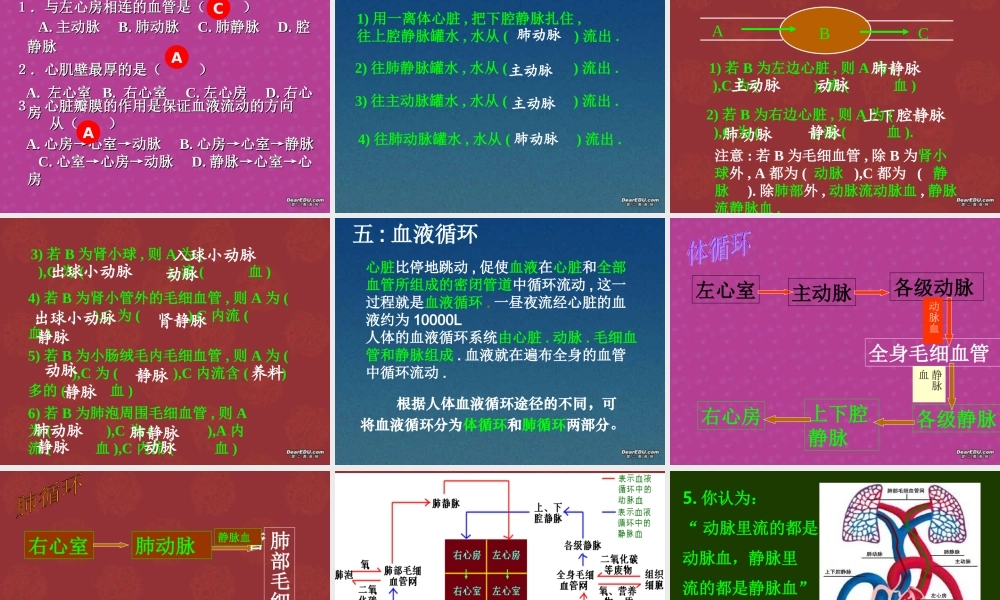 血液循环复习 初三生物复习 血液循环的复习课件(ppt,flash,视频文件)苏教版