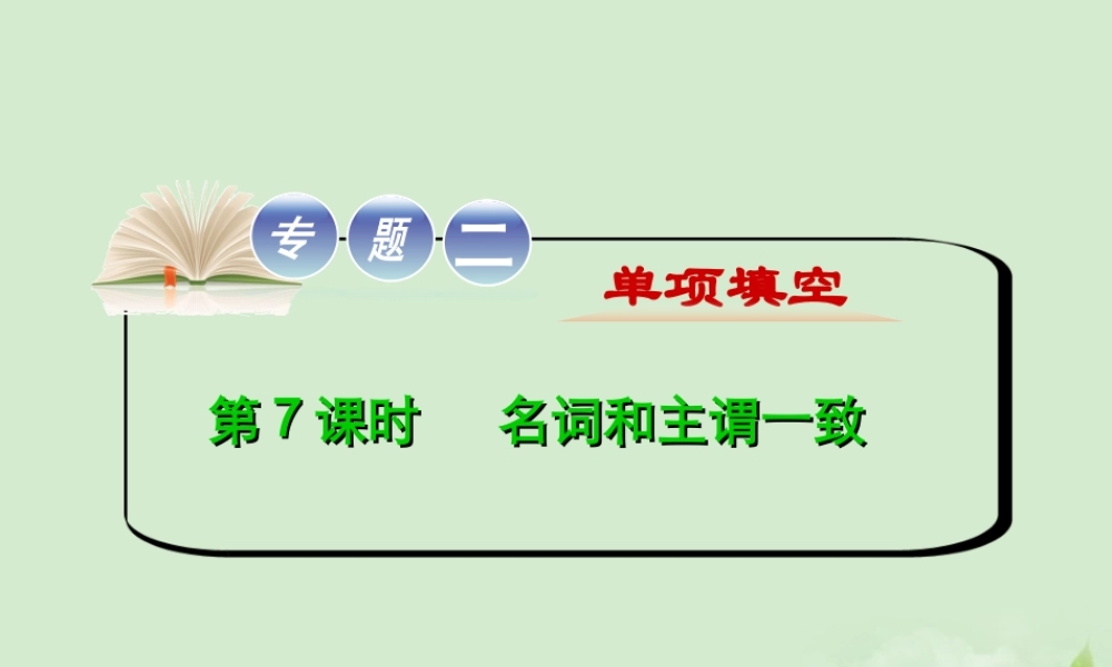 高考英语二轮复习 专题2 第7课时 名词和主谓一致精品课件 大纲人教版(贵州专用) 课件