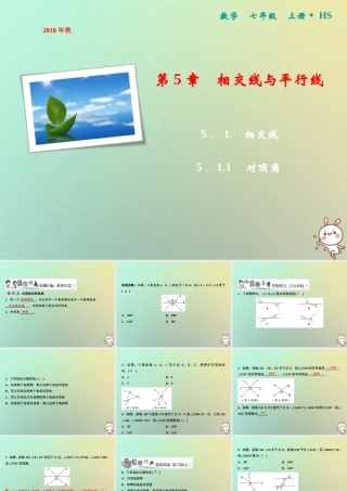 秋七年级数学上册 第5章 相交线与平行线 5.1.1 对顶角课件 (新版)华东师大版 课件
