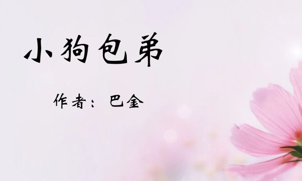 高中语文 小狗包弟课件5课件 新人教版必修1 课件
