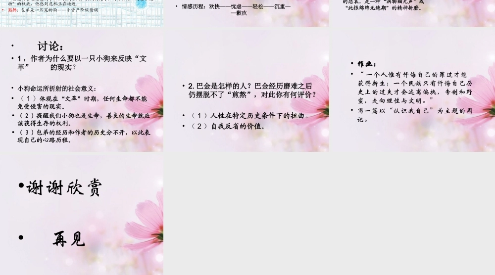 高中语文 小狗包弟课件5课件 新人教版必修1 课件