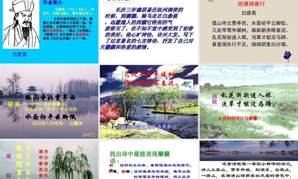 〈钱塘湖春行-〉课件-(2)