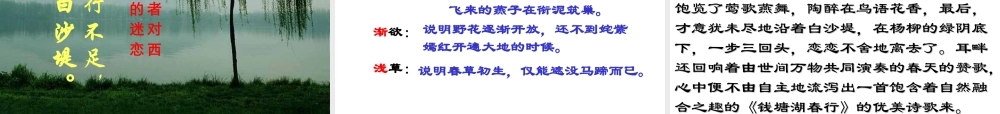 〈钱塘湖春行-〉课件-(2)