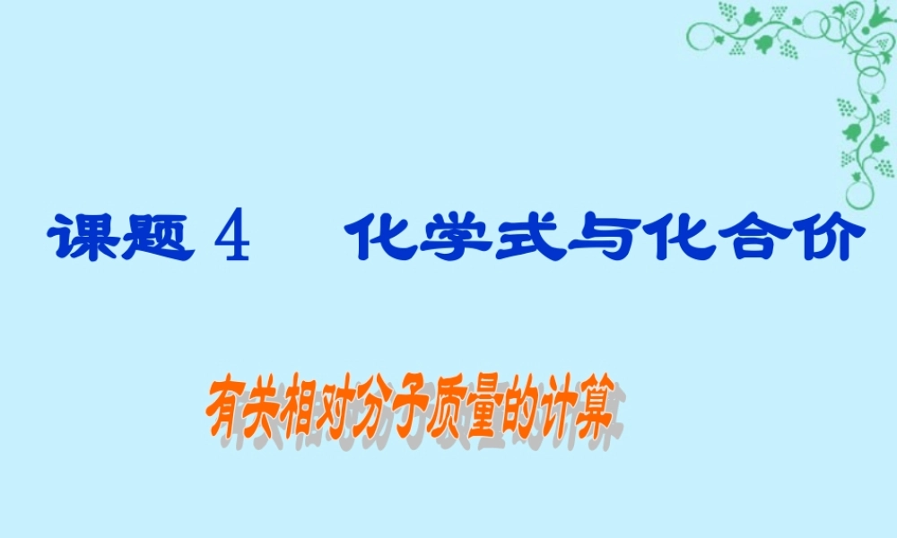 根据化学式计算九年级化学课件 新课标 人教版 课件