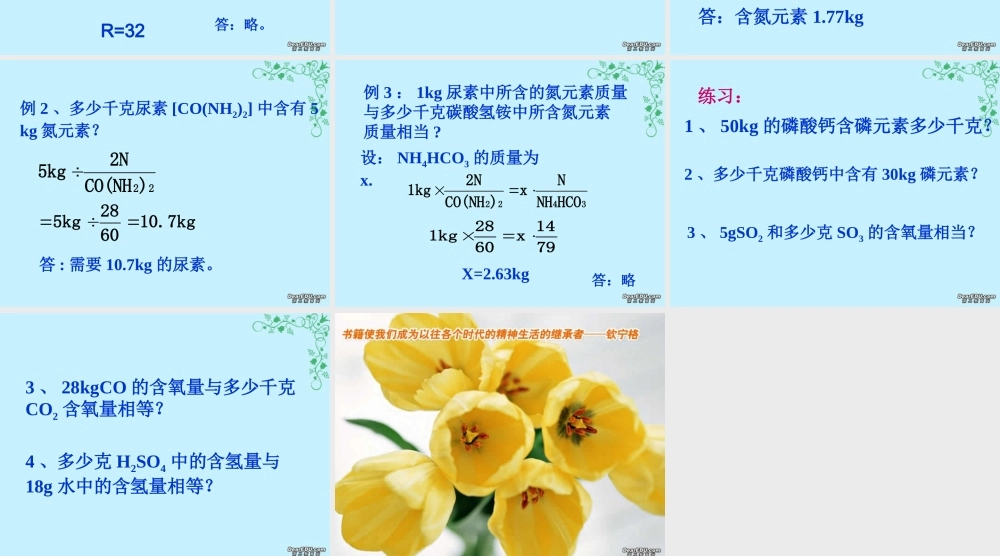 根据化学式计算九年级化学课件 新课标 人教版 课件