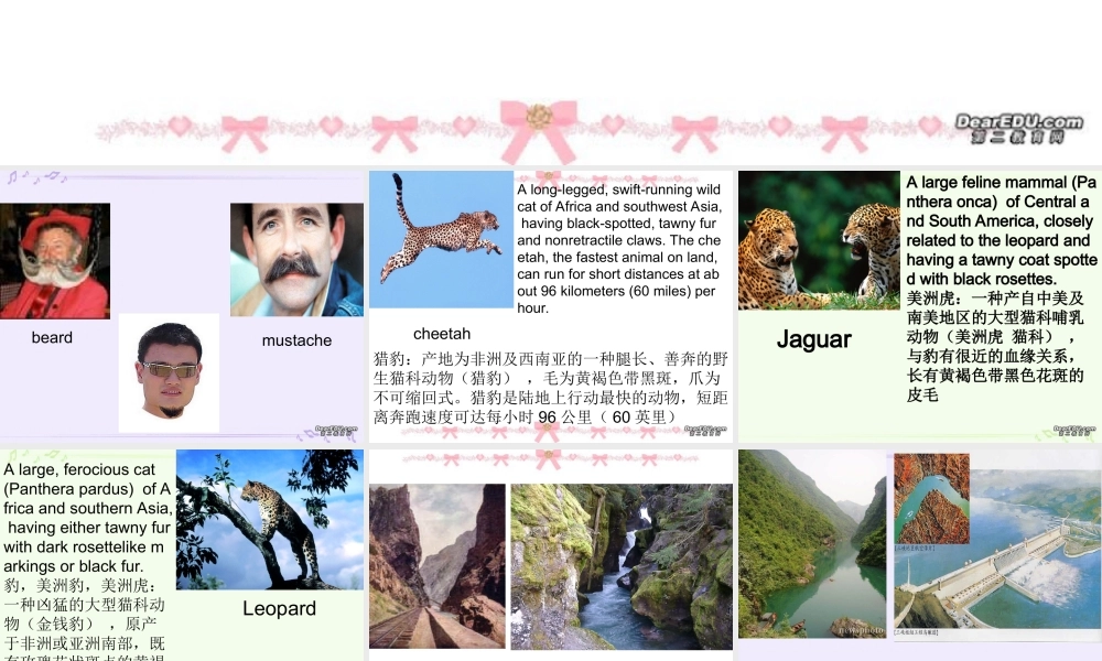 高三英语暑期补课第一单元词汇 新课标 人教版 课件