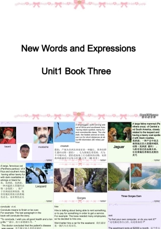 高三英语暑期补课第一单元词汇 新课标 人教版 课件