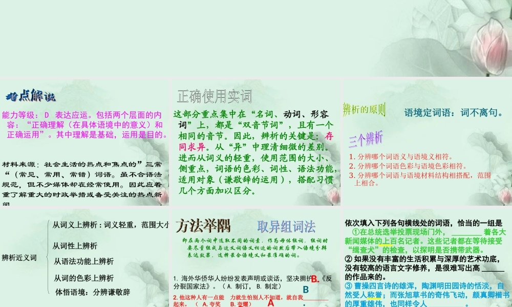 高考语文专题复习 正确使用词语之实词篇课件 新人教版 课件