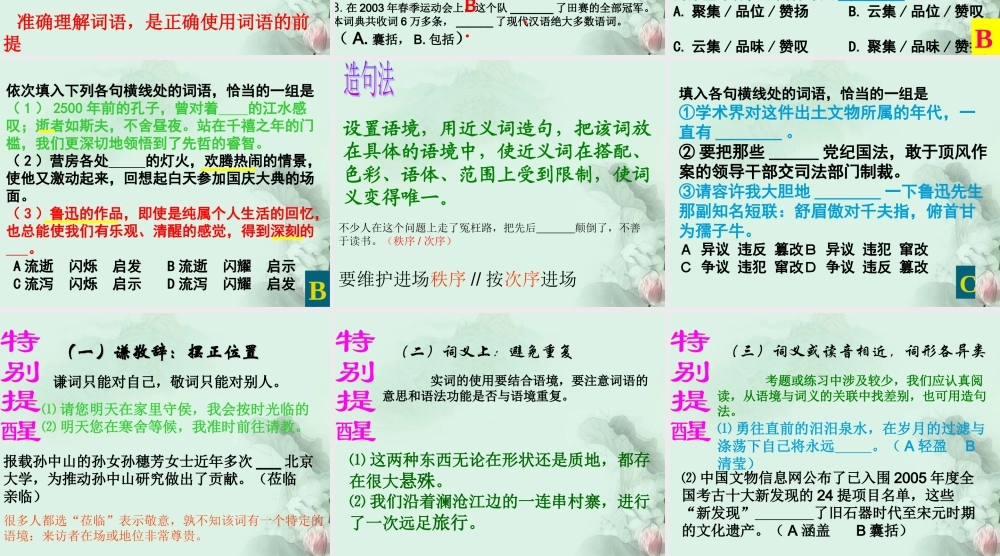 高考语文专题复习 正确使用词语之实词篇课件 新人教版 课件