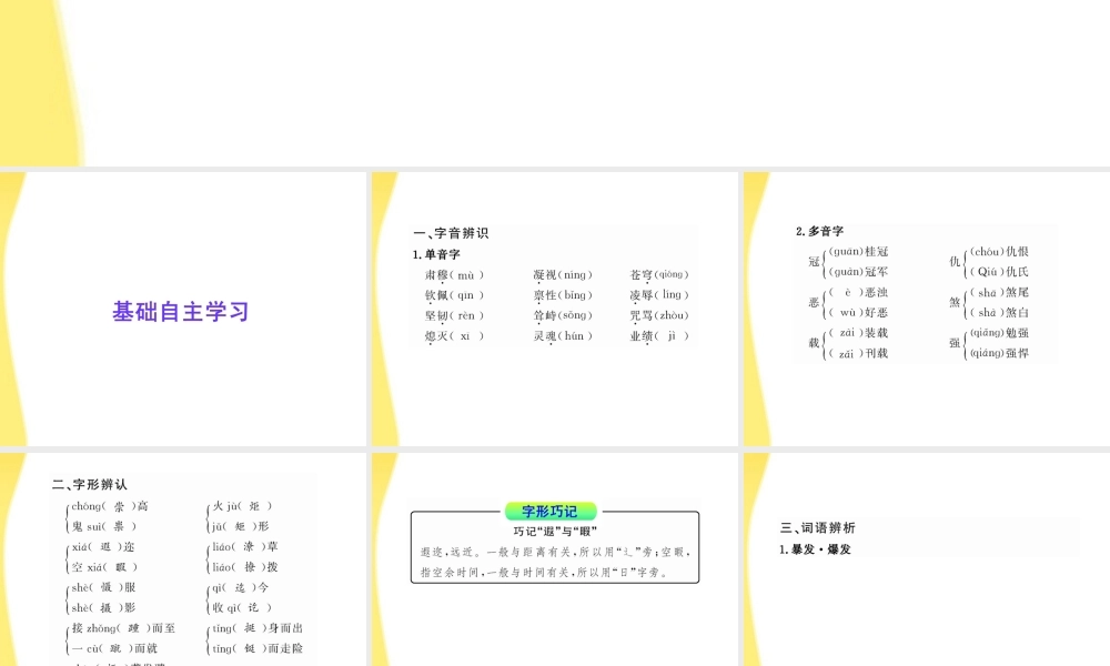 高中语文 悼念乔治 桑 课件 鲁人教版必修1 课件