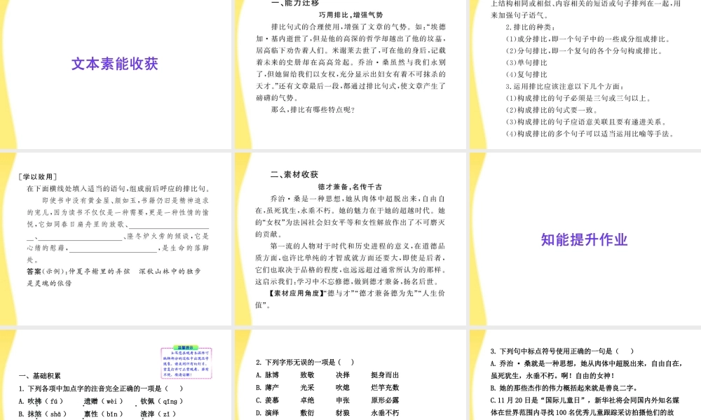 高中语文 悼念乔治 桑 课件 鲁人教版必修1 课件