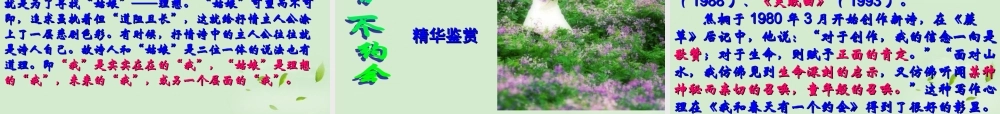 高中语文 27(中国现代诗歌四首)课件1 粤教版必修2 课件