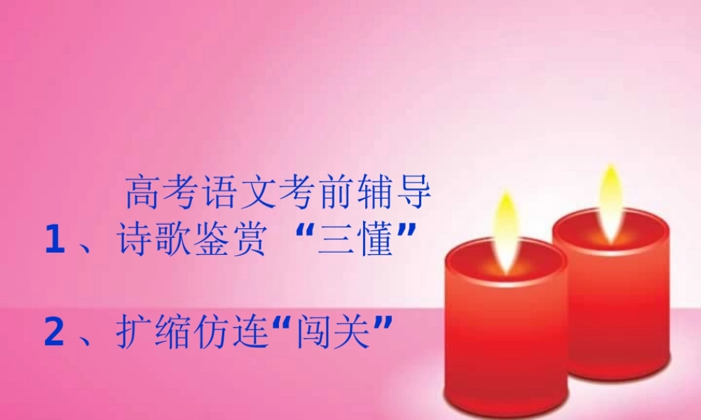 高考语文考前辅导 人教版 试题