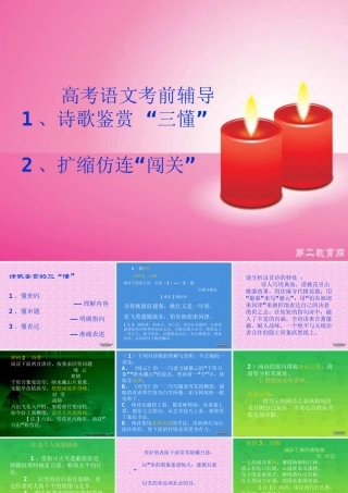 高考语文考前辅导 人教版 试题