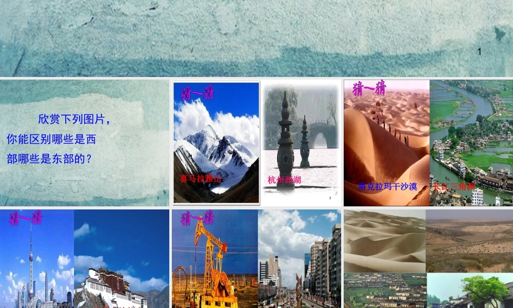 校八年级政治下册 第八课 第2框 东西部差距有多大课件 人民版 课件