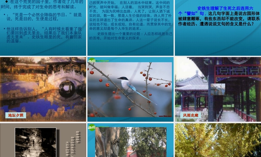 高中语文 (我与地坛)课件 苏教版版必修2 课件