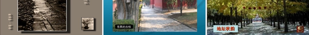 高中语文 (我与地坛)课件 苏教版版必修2 课件