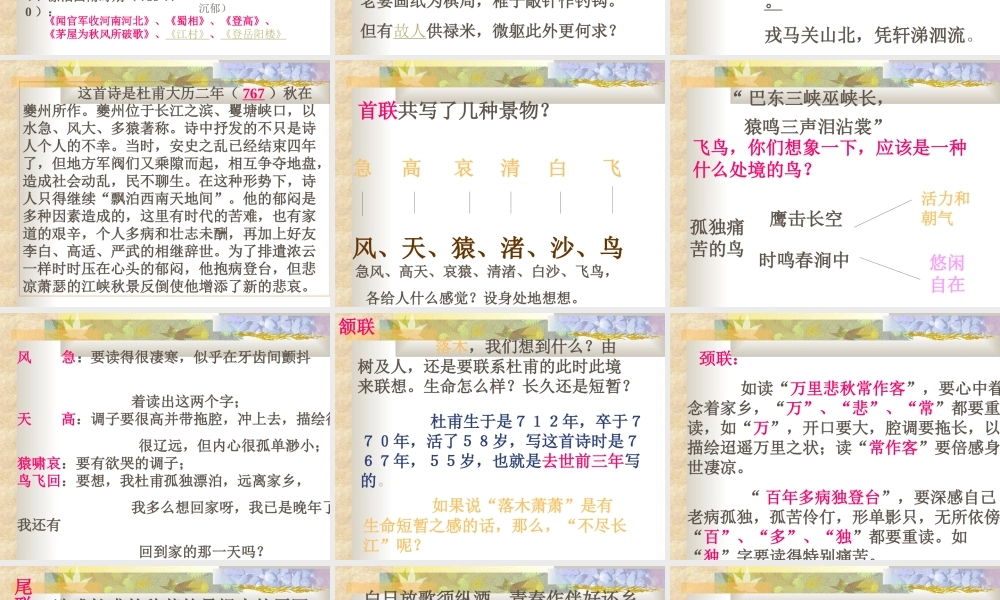 杜甫 高二语文精品课件大集合7 高二语文精品课件大集合7