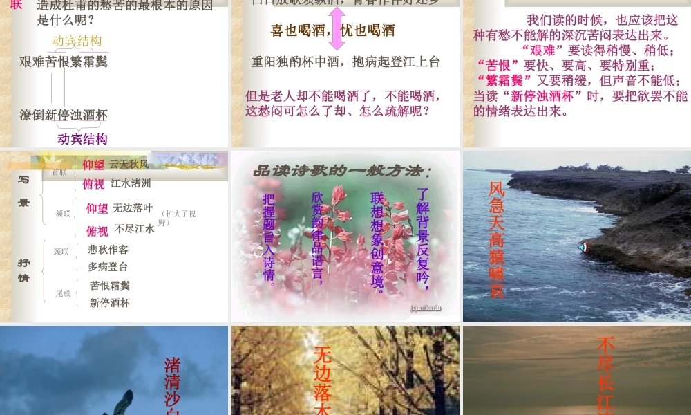 杜甫 高二语文精品课件大集合7 高二语文精品课件大集合7