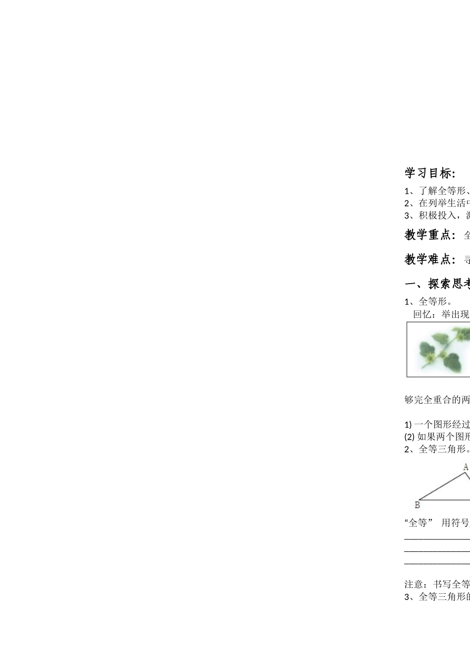 12.1全等三角形.1全等三角形(可用)_第1页