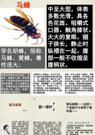 捅马蜂窝-第一课时