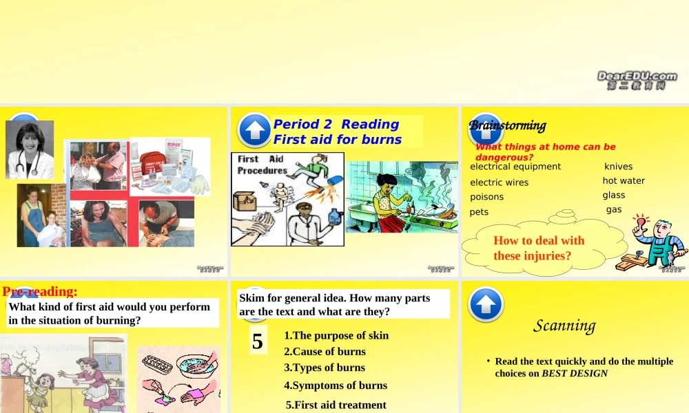 高二英语Unit5 Reading&language points课件