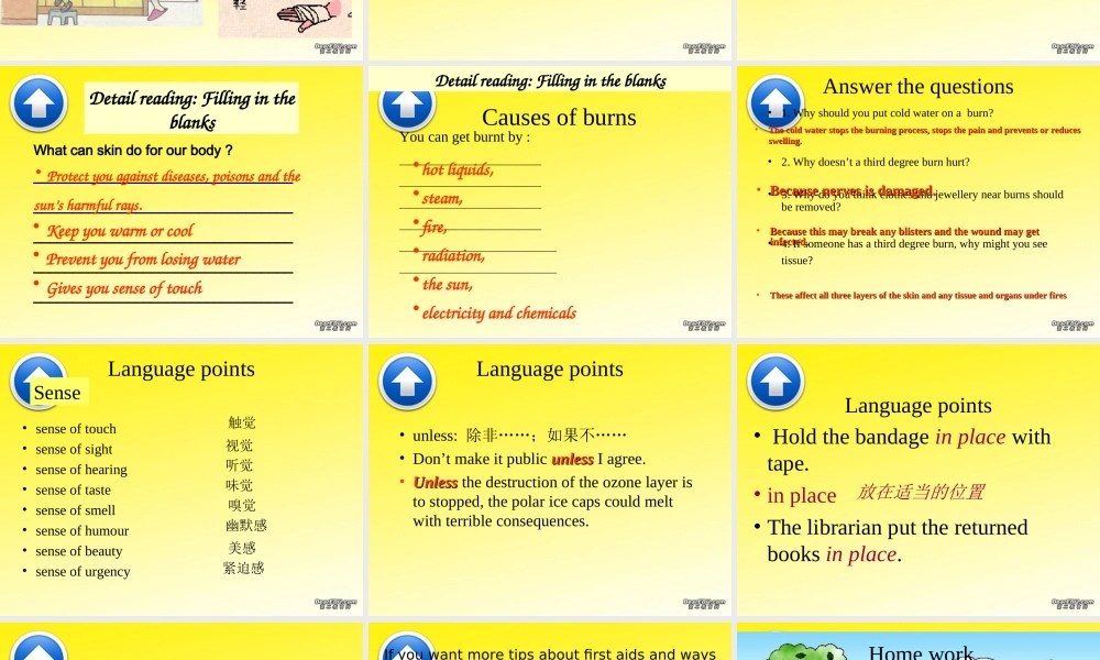 高二英语Unit5 Reading&language points课件