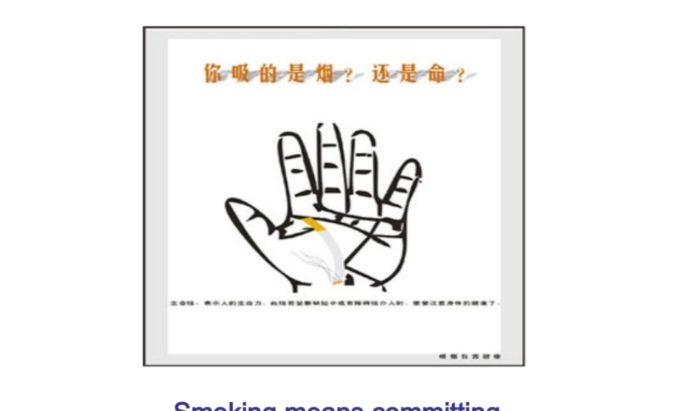 高中英语 B6 Unit3 warming up & reading课件
