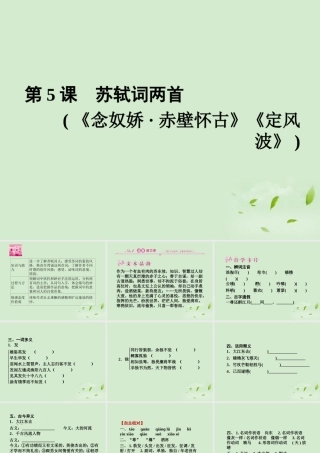 高中语文(念奴娇 赤壁怀古)(定风波)同步导学课件5 新人教版必修4 新课标 课件