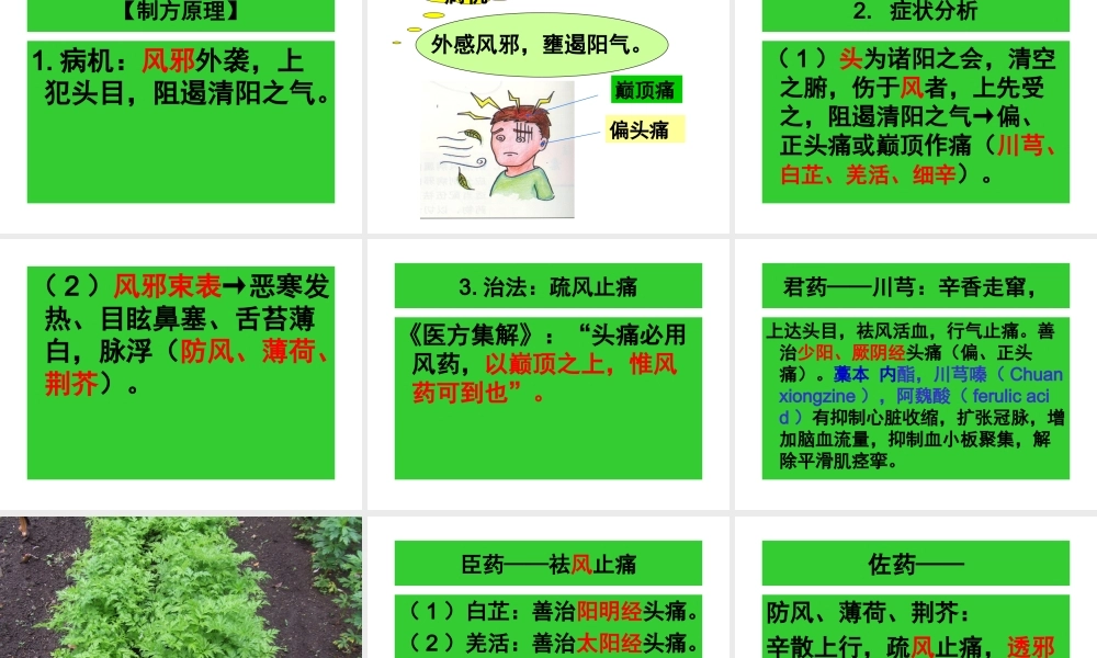 第19章-治风剂