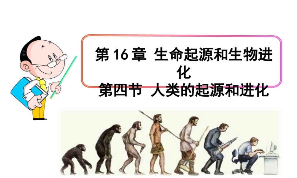 第四节人类的起源和进化