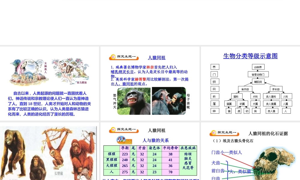 第四节人类的起源和进化